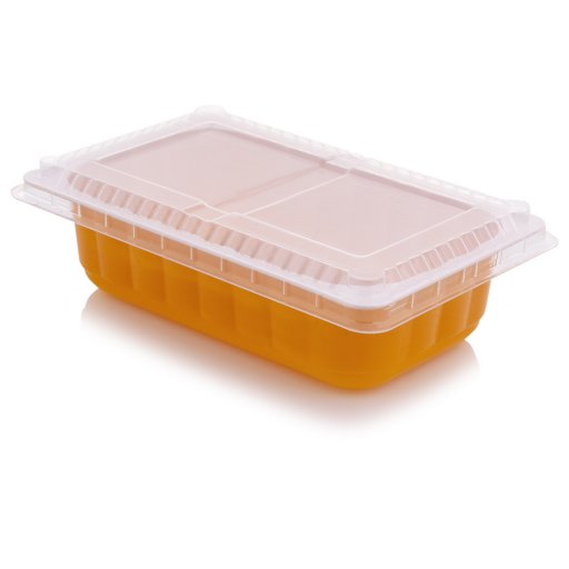 Plastic Rectangle Container & Lid combo